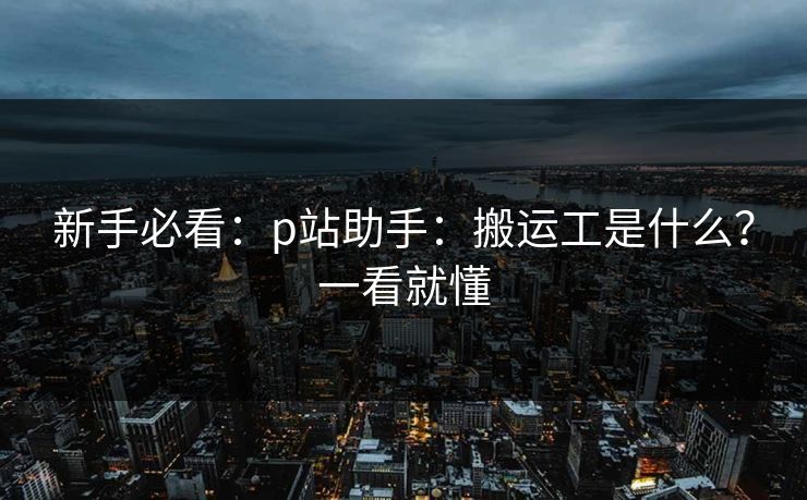 新手必看：p站助手：搬运工是什么？一看就懂