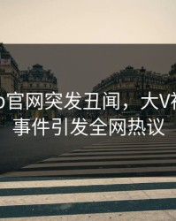 麻豆App官网突发丑闻，大V被曝参与事件引发全网热议