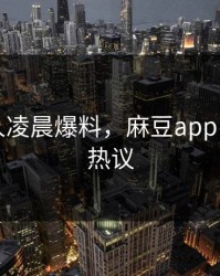 网络红人凌晨爆料，麻豆app引发全网热议