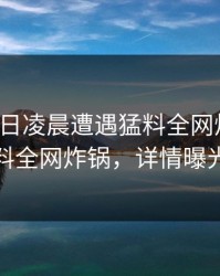 大V在今日凌晨遭遇猛料全网炸裂，黑料全网炸锅，详情曝光